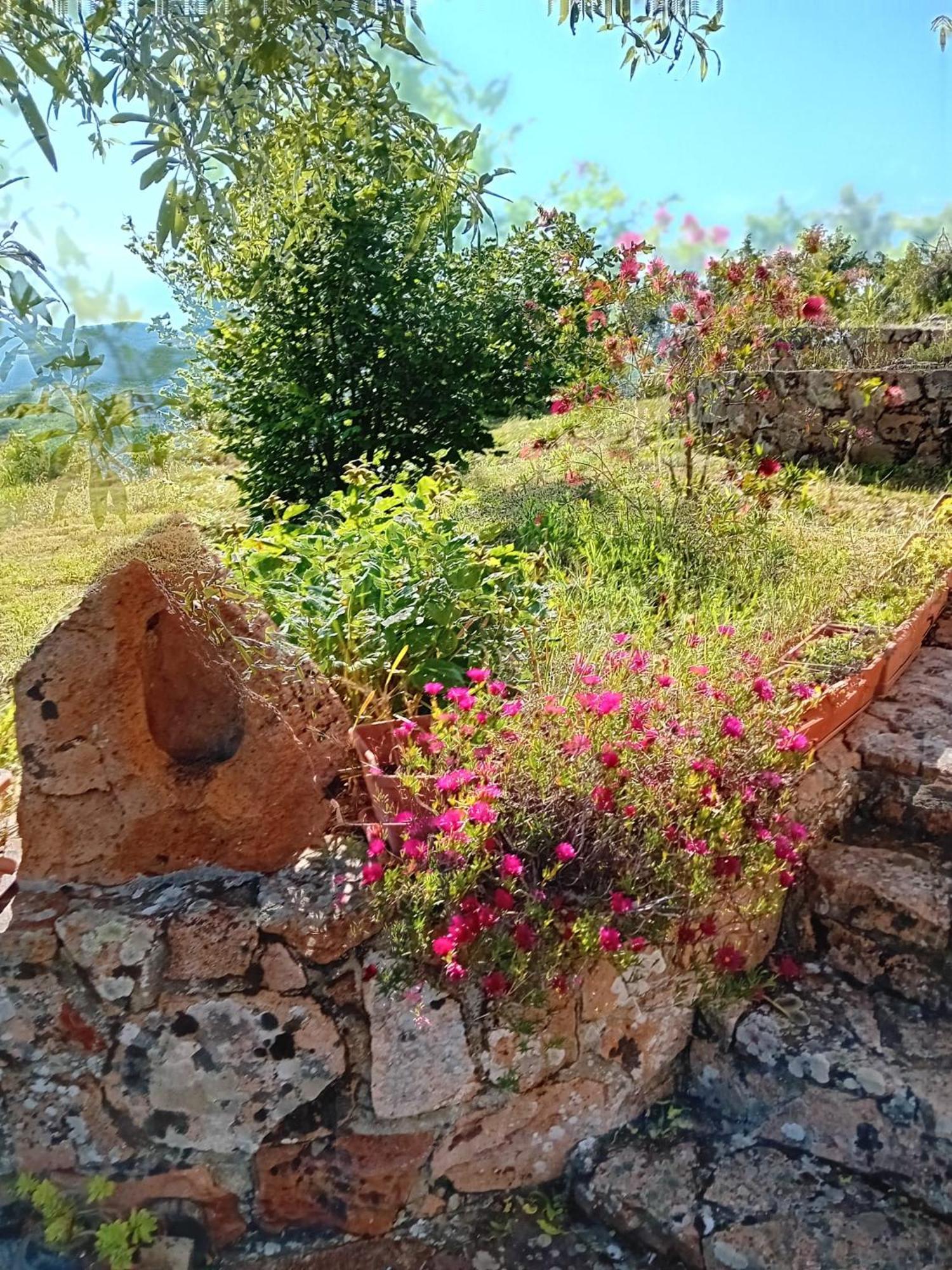 Bed and Breakfast Lugori Seùlo Zewnętrze zdjęcie